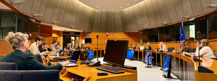 Mapineq meeting at Brussels.